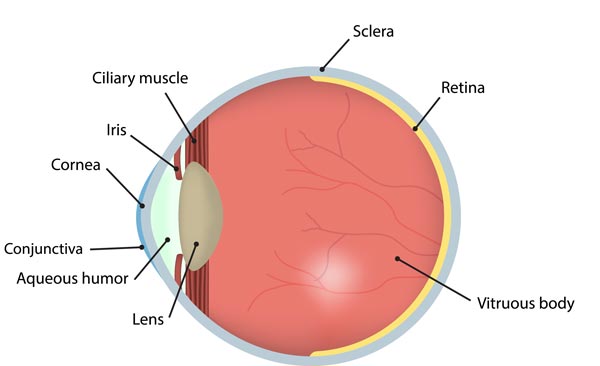 Dry Eye Syndrome – Cross Eye Centers